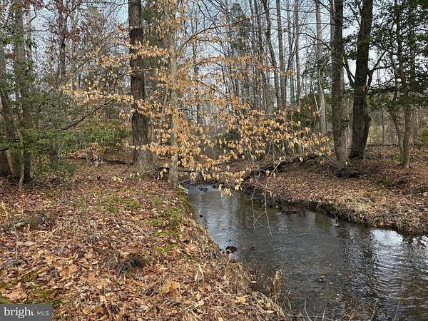 35 Acres of Recreational & Residential Land for Sale in Kents Store, Virginia