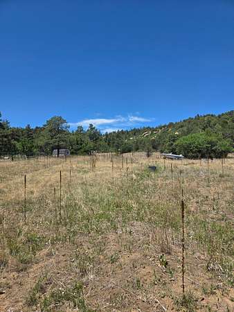 82 Acres of Land for Sale in Boncarbo, Colorado
