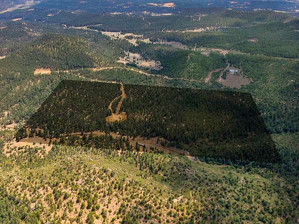 82 Acres of Land for Sale in Boncarbo, Colorado