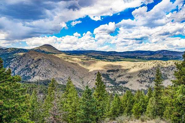 29.8 Acres of Land for Sale in Nederland, Colorado