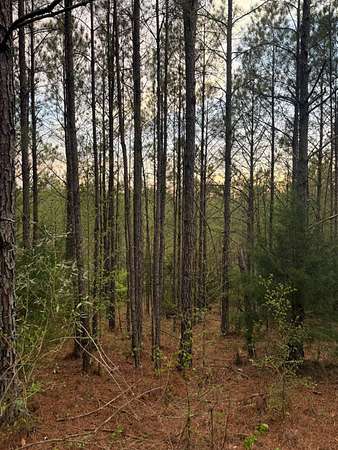 4.8 Acres of Land for Sale in Preston, Mississippi