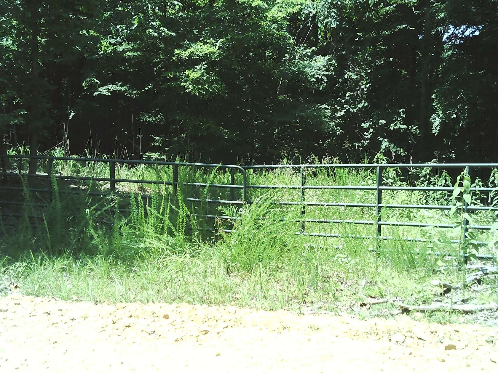 15.5 Acres of Land for Sale in Bumpus Mills, Tennessee