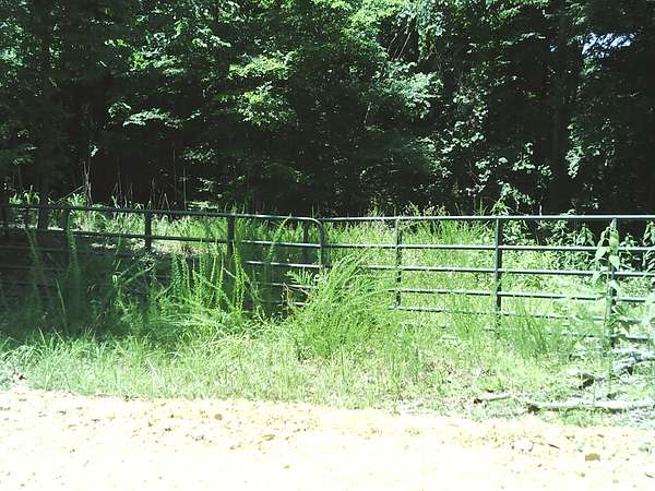15.5 Acres of Land for Sale in Bumpus Mills, Tennessee
