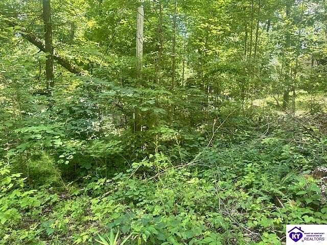 0.32 Acres of Land for Sale in Mammoth Cave, Kentucky
