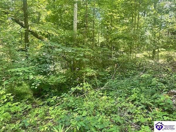 0.32 Acres of Land for Sale in Mammoth Cave, Kentucky