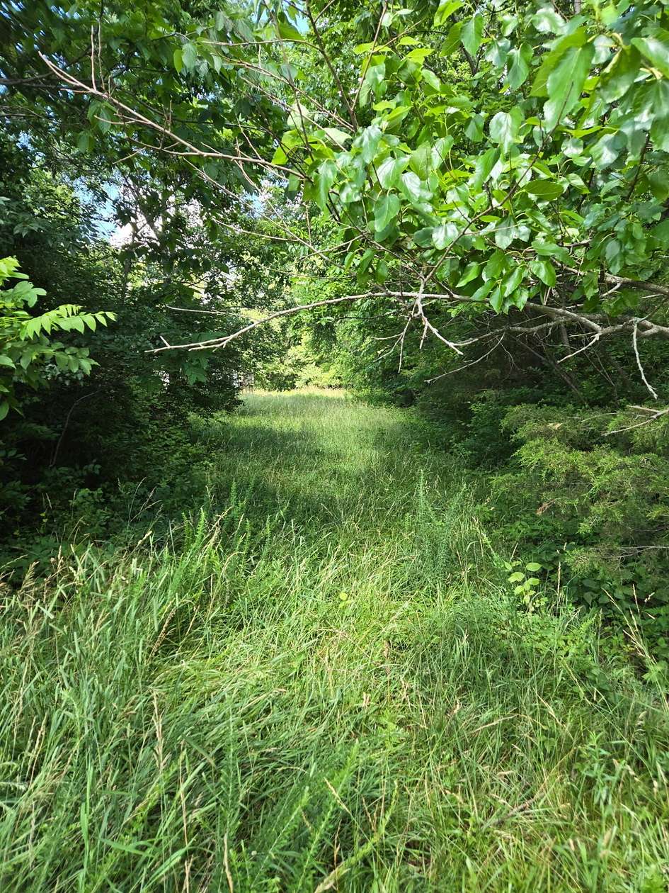 4.15 Acres of Residential Land for Sale in Corinth, Kentucky