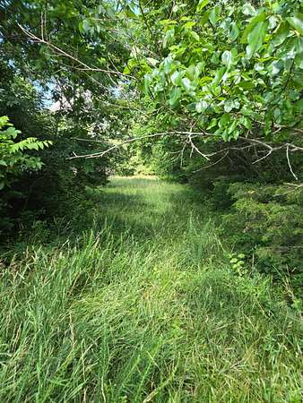 4.15 Acres of Residential Land for Sale in Corinth, Kentucky