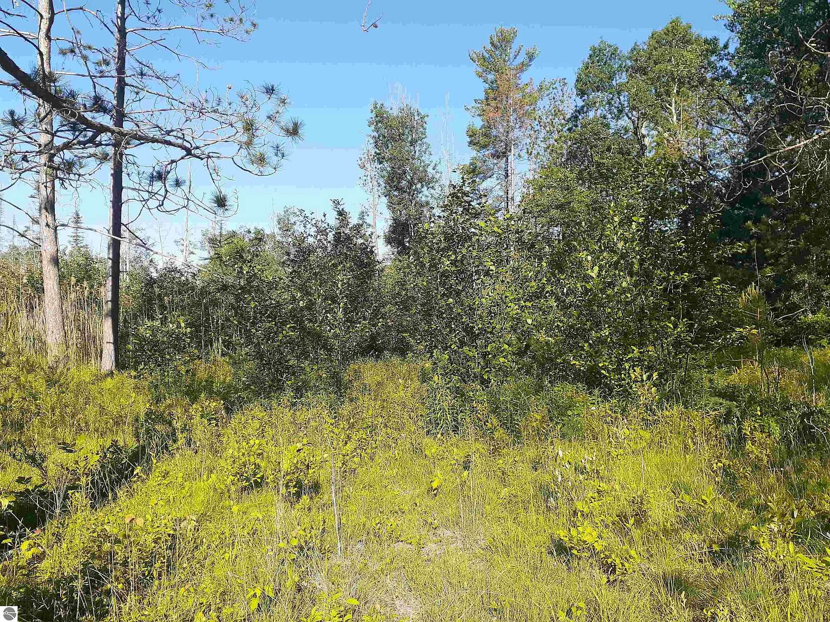 10 Acres of Recreational & Residential Land for Sale in Oscoda, Michigan