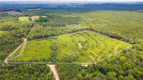 20 Acres of Land for Sale in Waverly, Alabama