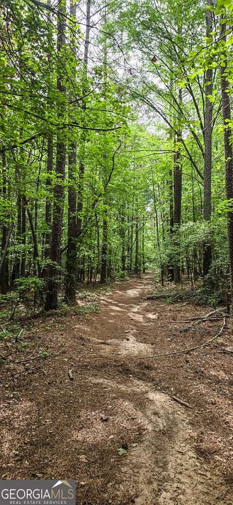 75.5 Acres of Recreational Land for Sale in Senoia, Georgia