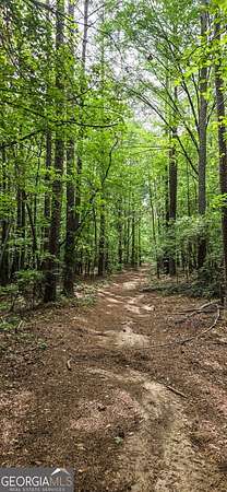 75.5 Acres of Recreational Land for Sale in Senoia, Georgia