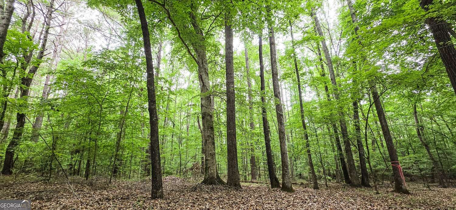 25 Acres of Recreational Land for Sale in Senoia, Georgia