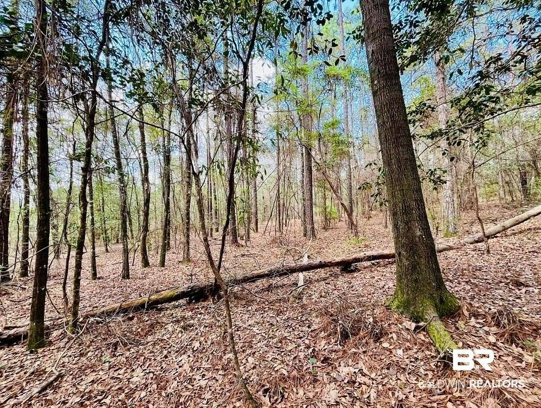 3 Acres of Land for Sale in Bay Minette, Alabama