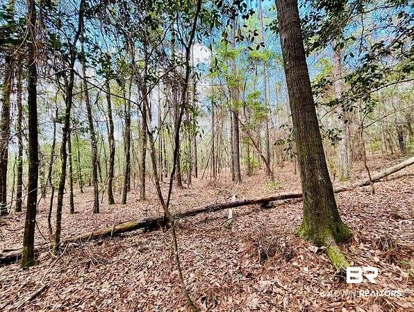 3 Acres of Land for Sale in Bay Minette, Alabama