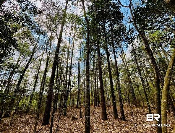 3 Acres of Land for Sale in Bay Minette, Alabama