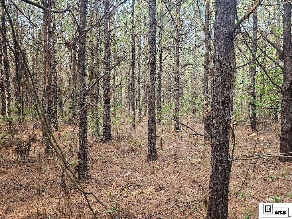 100 Acres of Recreational & Residential Land for Sale in Ruston, Louisiana