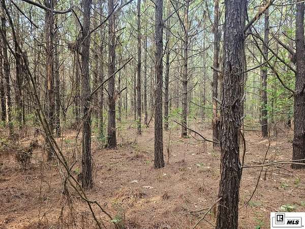 100 Acres of Recreational & Residential Land for Sale in Ruston, Louisiana