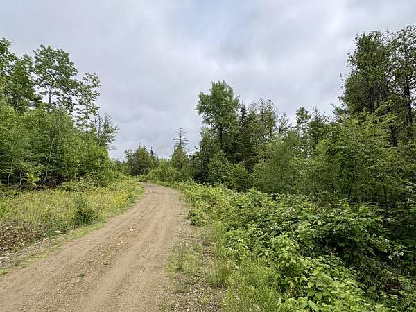 1 Acre of Residential Land for Sale in Lee, Maine