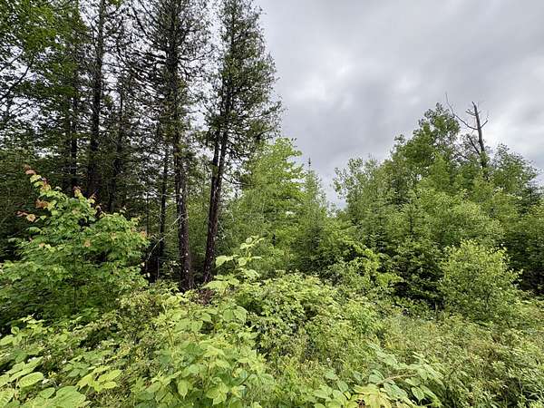 1 Acre of Residential Land for Sale in Lee, Maine