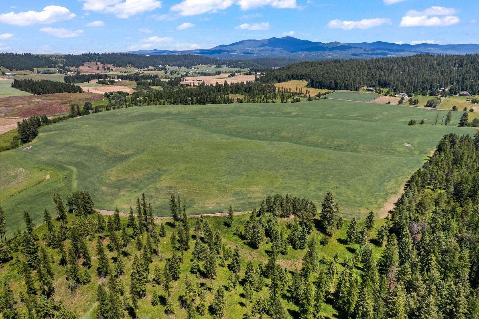 103 Acres of Agricultural & Residential Land for Sale in Colbert, Washington