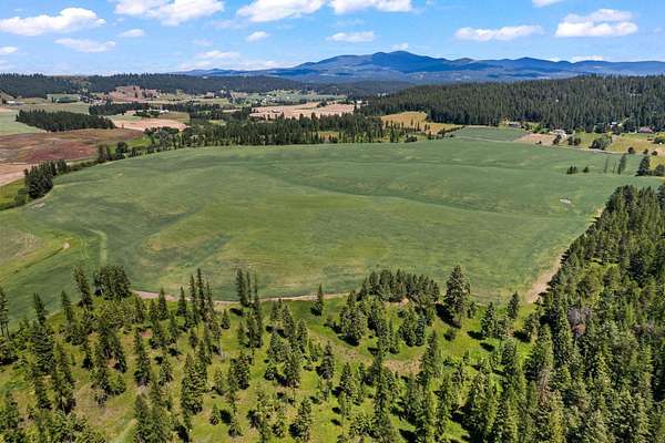 103 Acres of Agricultural & Residential Land for Sale in Colbert, Washington