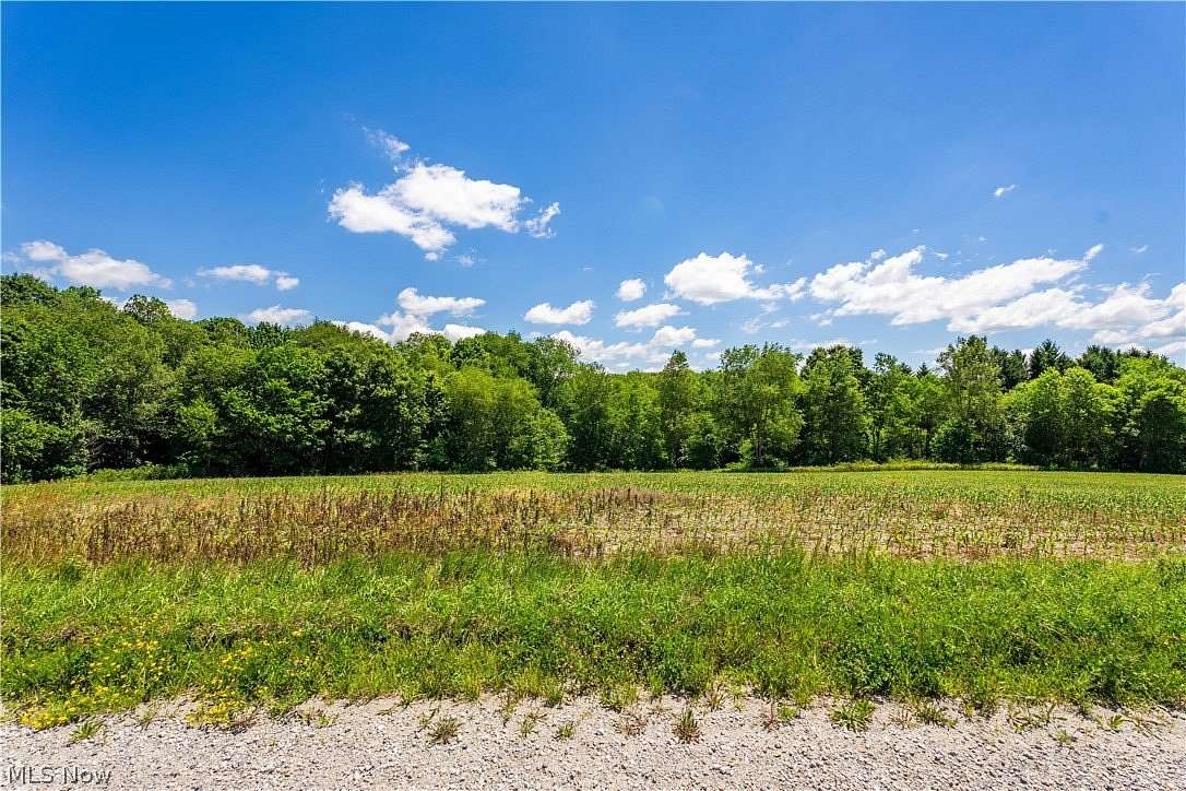 32 Acres of Land for Sale in Mechanicstown, Ohio