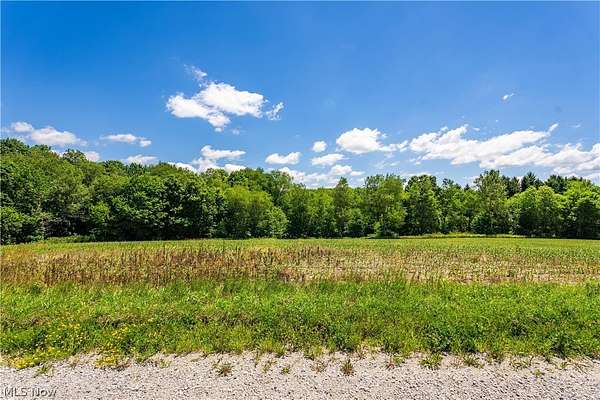 32 Acres of Land for Sale in Mechanicstown, Ohio