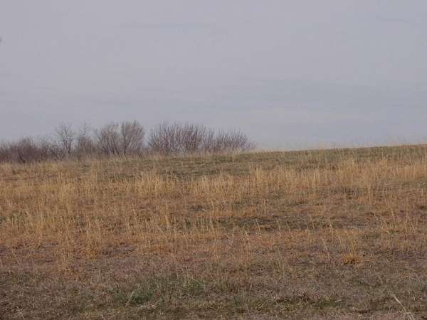 20.6 Acres of Agricultural & Residential Land for Sale in Perry, Kansas