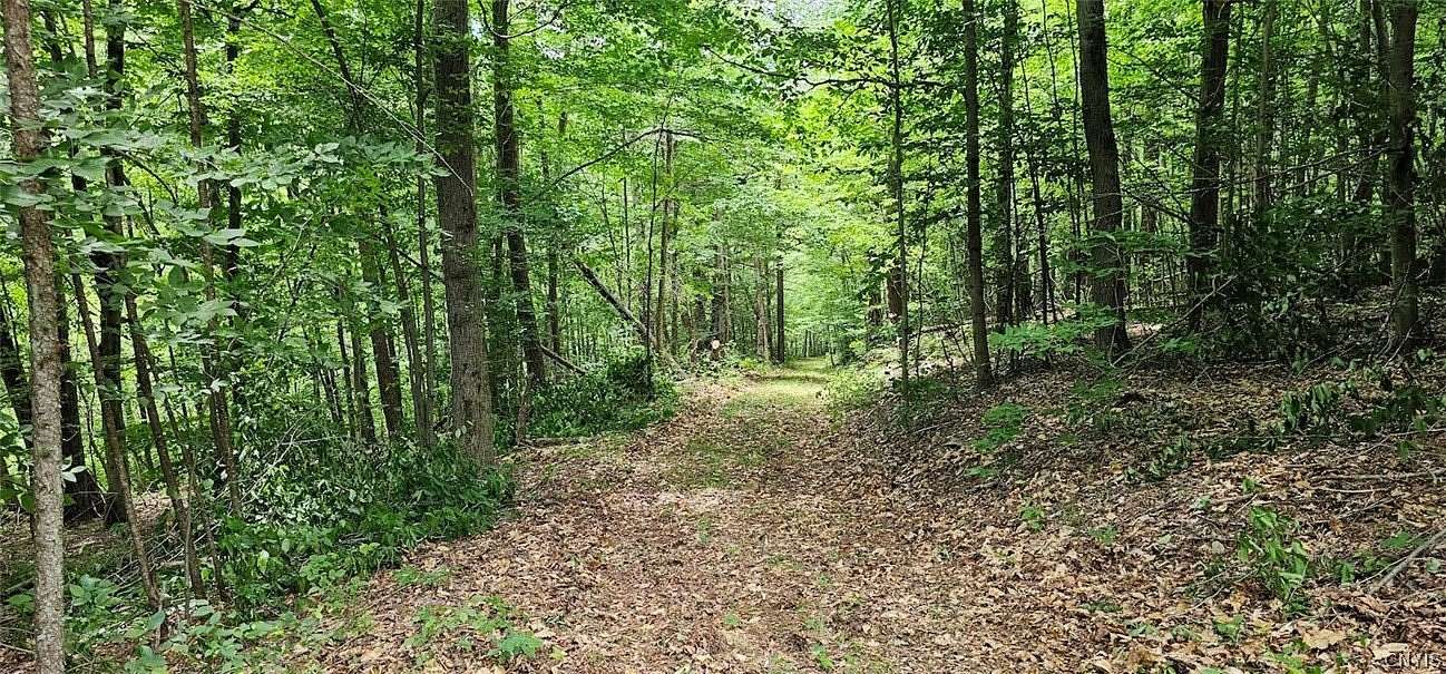 20 Acres of Recreational Land for Sale in Beaver Dams, New York