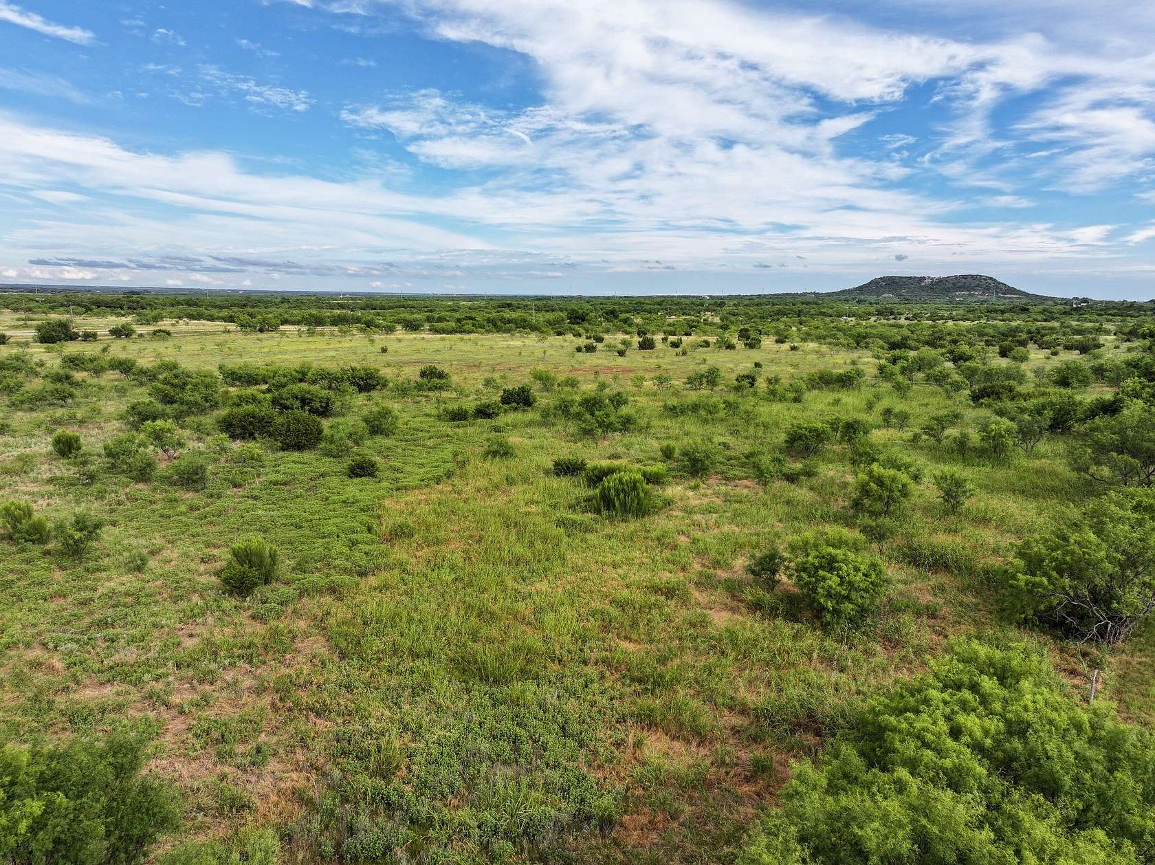 15.3 Acres of Land for Sale in Tuscola, Texas