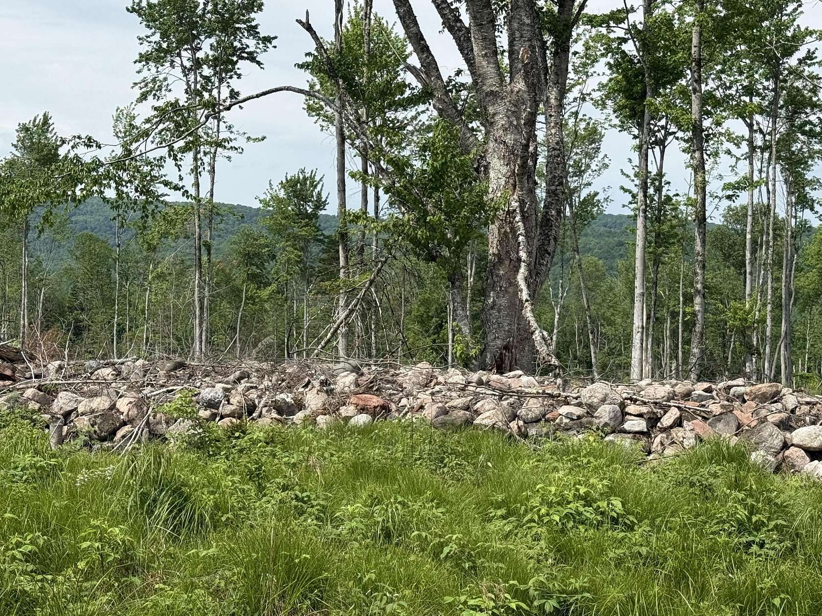 50 Acres of Land for Sale in Malone, New York