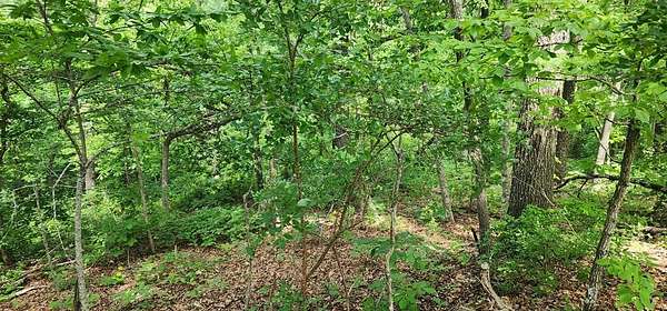 0.39 Acres of Land for Sale in Holladay, Tennessee