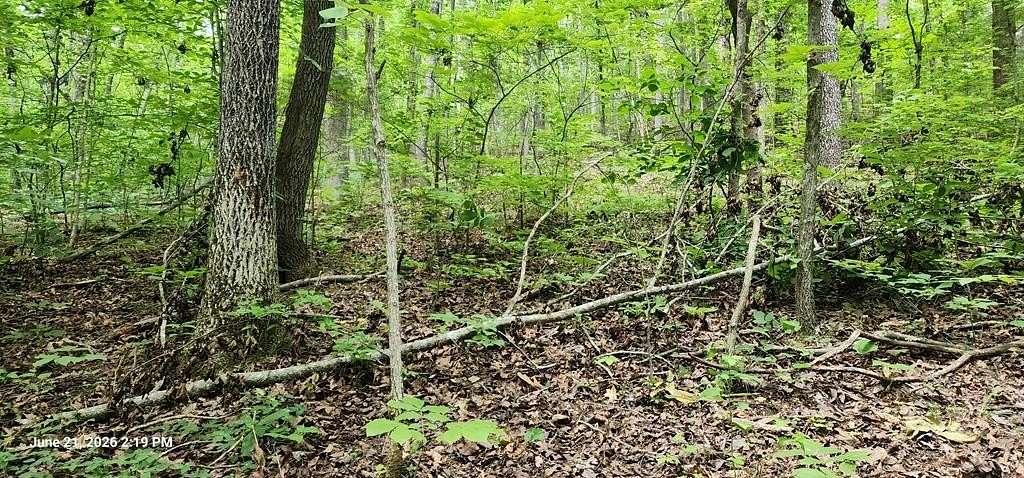 0.35 Acres of Land for Sale in Holladay, Tennessee