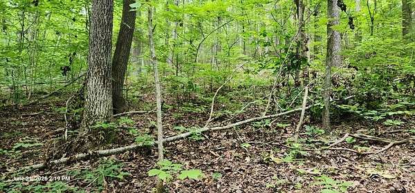 0.35 Acres of Land for Sale in Holladay, Tennessee