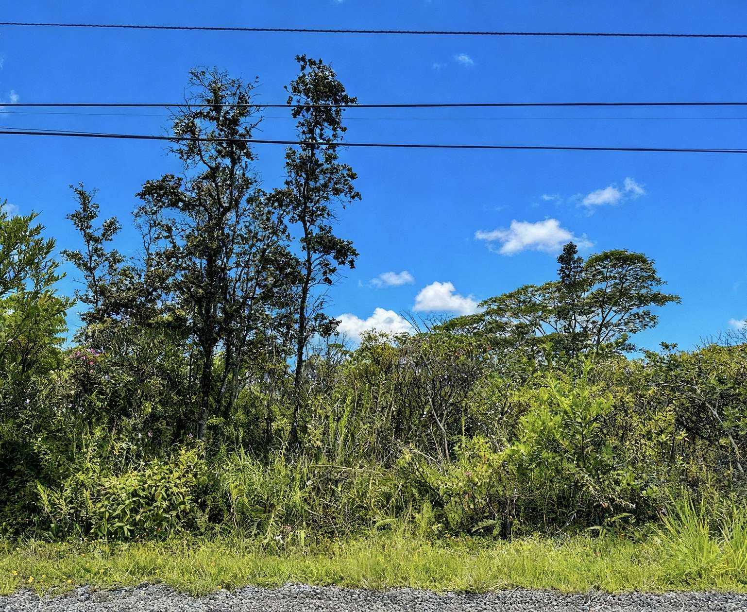 1 Acre of Residential Land for Sale in Keaau, Hawaii