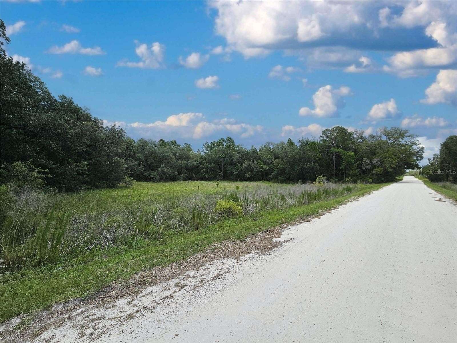 5.16 Acres of Land for Sale in Morriston, Florida