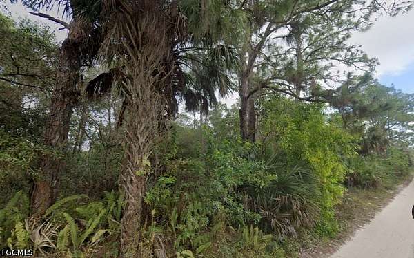 7.39 Acres of Residential Land for Sale in Fort Myers, Florida