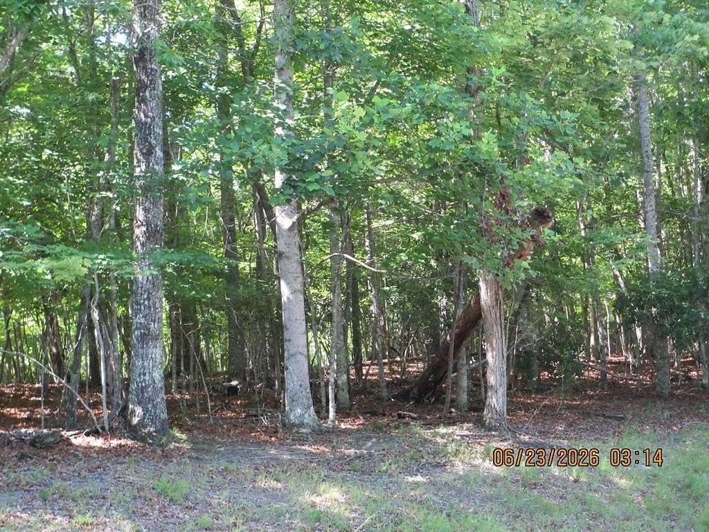 2.63 Acres of Land for Sale in Warne, North Carolina
