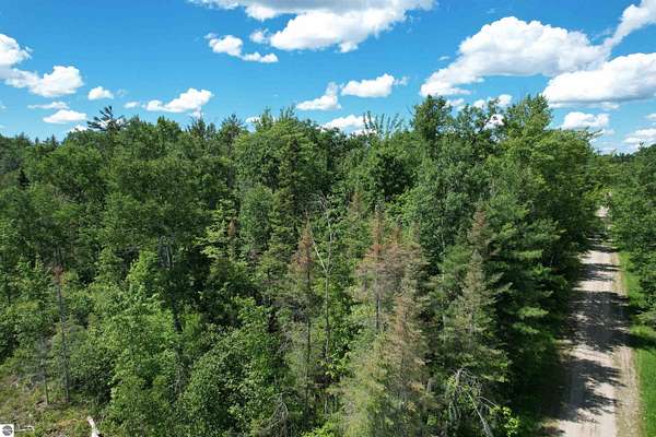 10.2 Acres of Recreational Land for Sale in Houghton Lake, Michigan