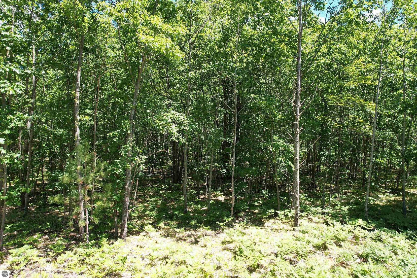 4.8 Acres of Residential Land for Sale in Lake City, Michigan