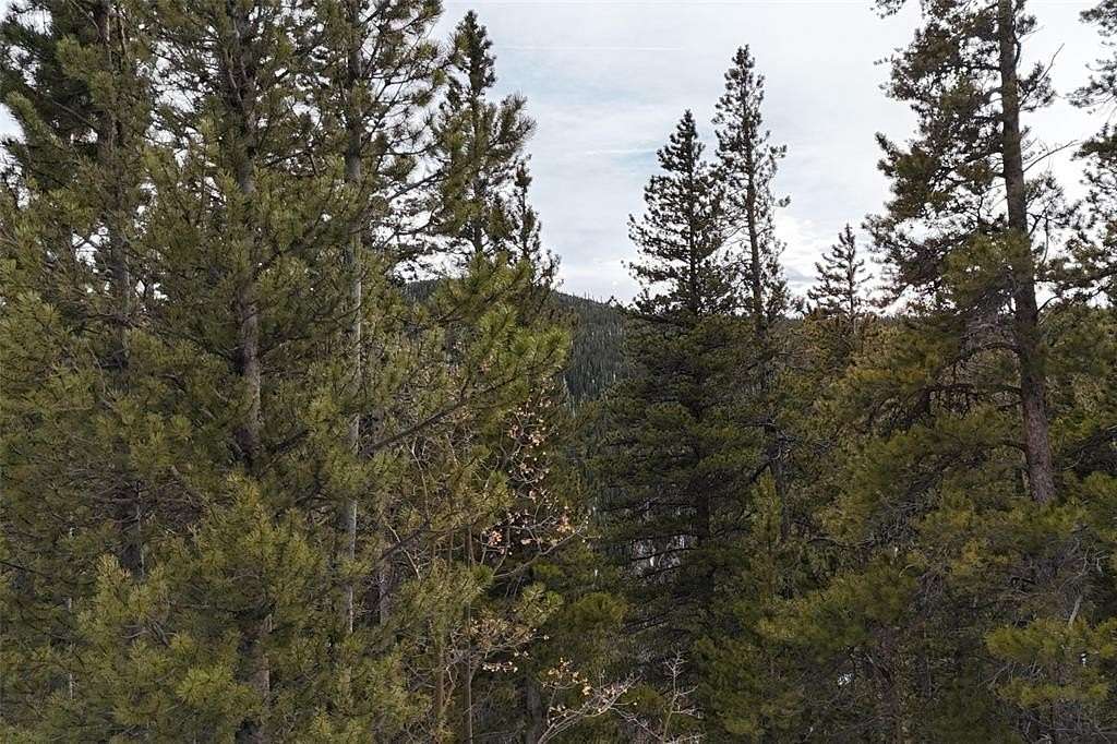 1.15 Acres of Residential Land for Sale in Idaho Springs, Colorado
