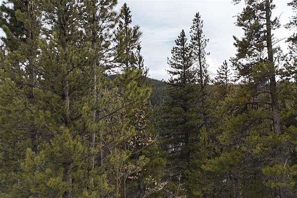 1.15 Acres of Residential Land for Sale in Idaho Springs, Colorado
