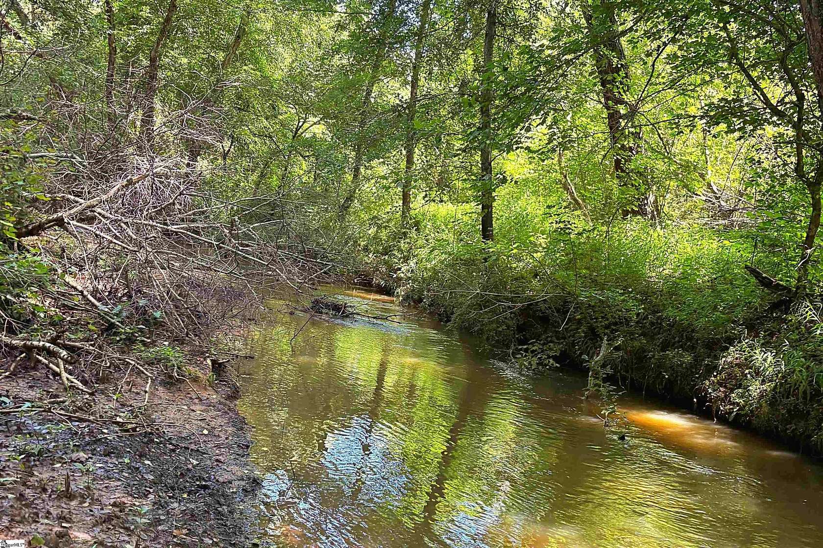5.56 Acres of Land for Sale in Gray Court, South Carolina