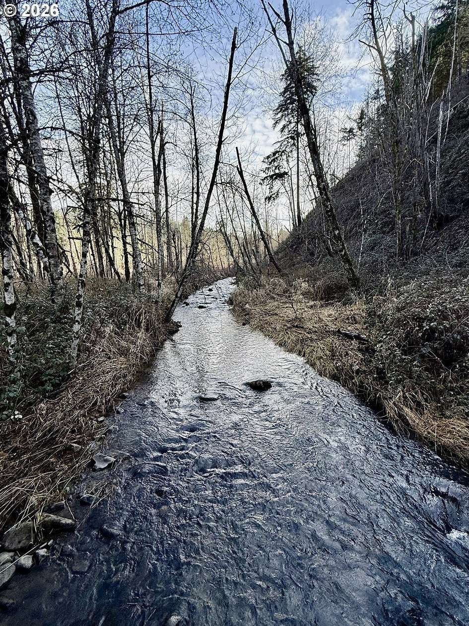 12.2 Acres of Land for Sale in Scotts Mills, Oregon