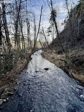 12.2 Acres of Land for Sale in Scotts Mills, Oregon