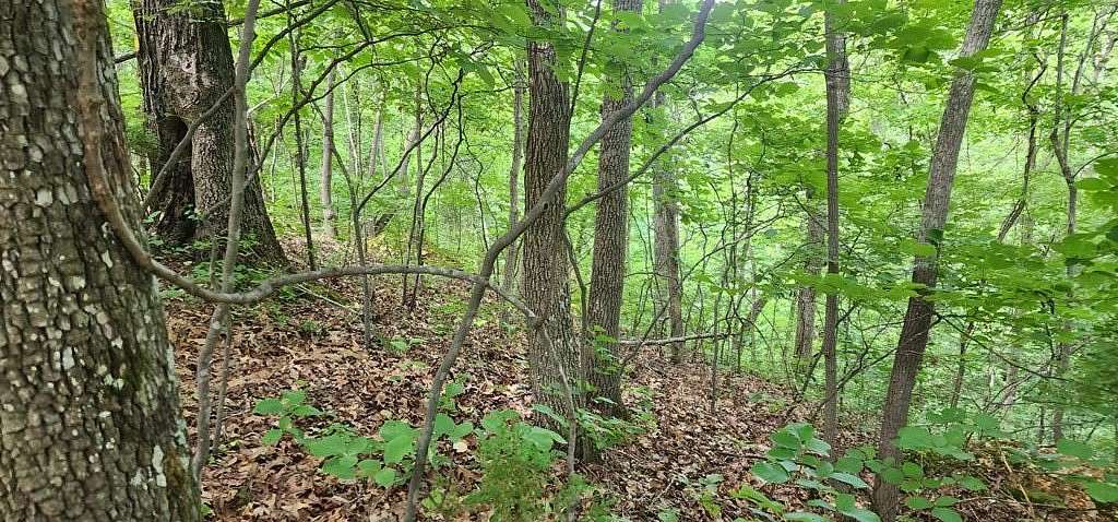0.35 Acres of Land for Sale in Holladay, Tennessee