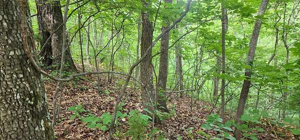 0.35 Acres of Land for Sale in Holladay, Tennessee