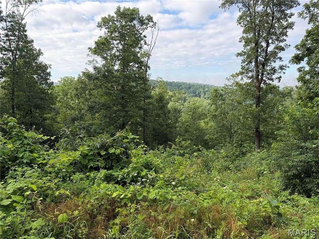 1.22 Acres of Residential Land for Sale in Piedmont, Missouri
