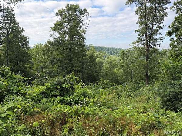 1.22 Acres of Residential Land for Sale in Piedmont, Missouri