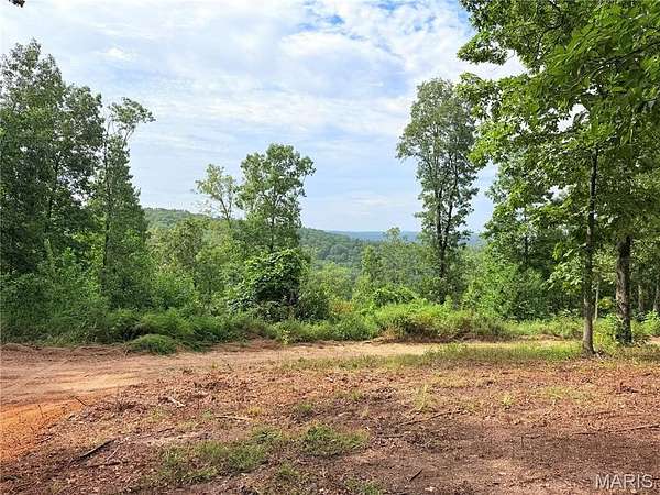 1.22 Acres of Residential Land for Sale in Piedmont, Missouri